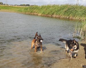 14480605 10202541738222497 982632927325970145 o