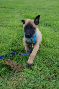 14500321 878834698913100 1455298710608575580 o