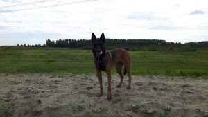 14500551 10202541746382701 1784377320928791371 o