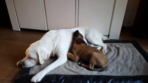 14502931 194563364311238 215988954820062060 n