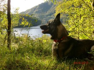 1450944 10151993325544467 739775794 n