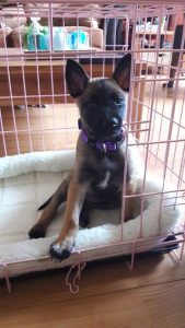 14516353 923161541161717 4464307416111600459 n