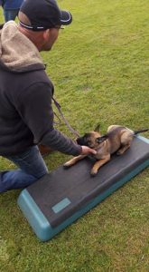 14523069 942710102540194 5310585675290176836 n