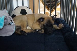 14542397 878834775579759 4284716047014865792 o