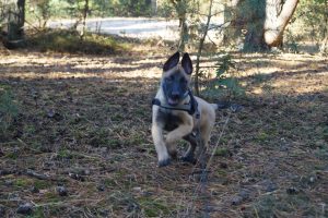 14556563 889238187872751 1814286627417988211 o