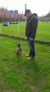 14563374 942710122540192 8028499538390890451 n