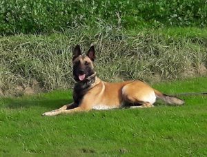 14563471 197360764028588 4476283680612701115 n