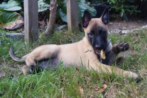 14566477 883590461770857 1122917146299556919 o