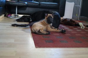 14567359 880539325409304 3484645281728060405 o