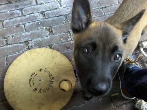 14572156 928626873948517 7941180266082822809 n