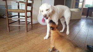 14572240 194544560979785 2697502377940969961 n