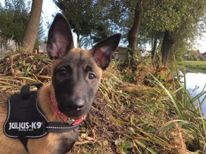 14581368 10210681315130259 1760877343117800291 n