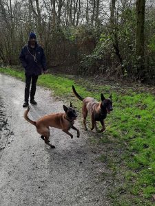 145922545 4171183559578423 3944439290036123418 n