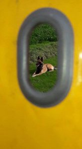 14595604 197360797361918 6570332904620302349 n