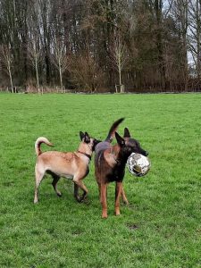 146082725 4171183306245115 7458353851822112137 n