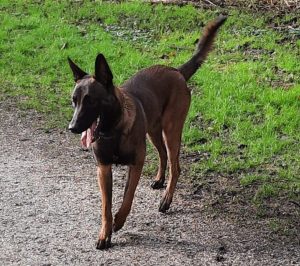 146133631 4171183846245061 7649290084732486323 n