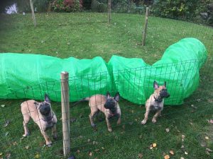 14615740 1481517228530149 905440672701141648 o