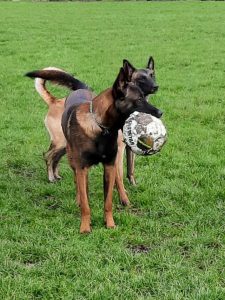 146298003 4171183446245101 121464195192332614 n