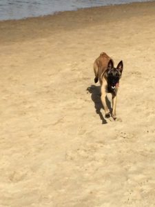 14632946 1196505653746036 8279611445821605376 n