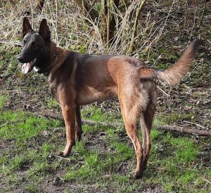 146492478 4171183666245079 8505155433001587293 n