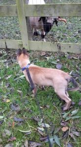 14657348 893429574120279 99757654237009458 n