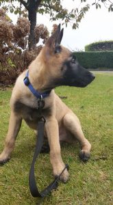 14657424 894393180690585 28242160446794871 n