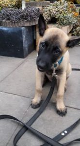 14680544 885565488240021 2921143671967580846 n