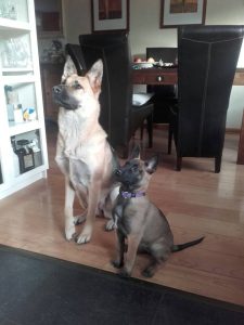 14702354 940442706100267 5669218893520342795 n