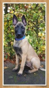 14705808 904611226335447 4900660433455746123 n