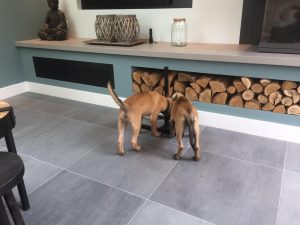 14706975 1481517075196831 5124981276218244112 o