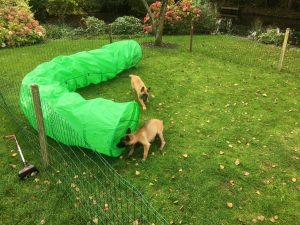 14711095 1481517198530152 3200430279447082354 o