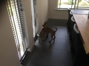 14711378 1481517111863494 2411600601937511567 o