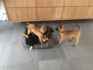 14711515 1481517115196827 3269733721167062854 o