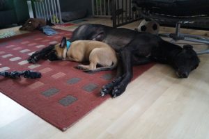 14712612 889238111206092 7935734148280876163 o