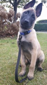 14720584 894392887357281 2605699121789555608 n