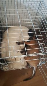 14720609 204659646634943 1681662700236505559 n