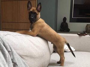 14725653 10157536442465007 4864001520113442429 n