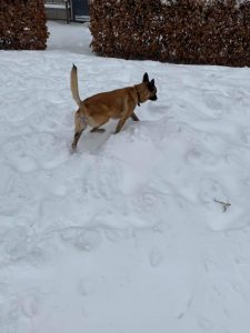 147500989 3737616119691865 6967707829205086105 o