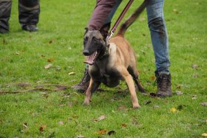 1476607 941247749300852 2633606240278418688 n