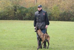 1477005 394825013983812 269392827 n VZH