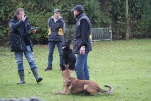 1479608 394825863983727 1911793826 n VZH