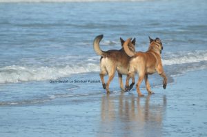 14805 102854813226797 818753301 n Qadir