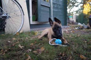 14855913 901168486679721 6735433422766190528 o