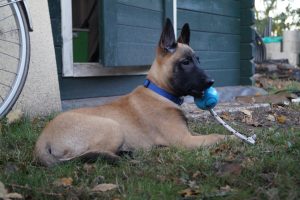 14876655 901168416679728 6363020001353754055 o