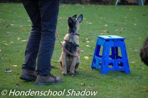 14883645 1637892543170683 794835258210309657 o