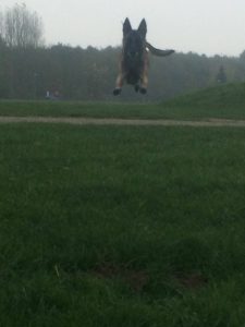 14906948 1223383297724938 8393913949419540323 n