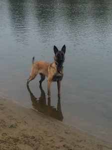 14910314 1223383354391599 5846510668728381984 n