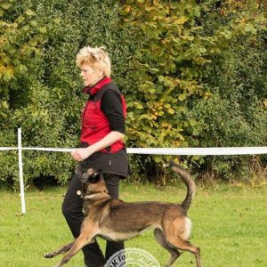 14925544 1030347843743018 3273695019728874070 n