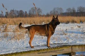 149340 102888003223478 781571100 n Qadir