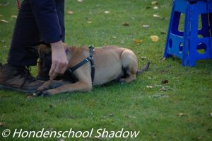 14939618 1637892549837349 7522869847720910800 o